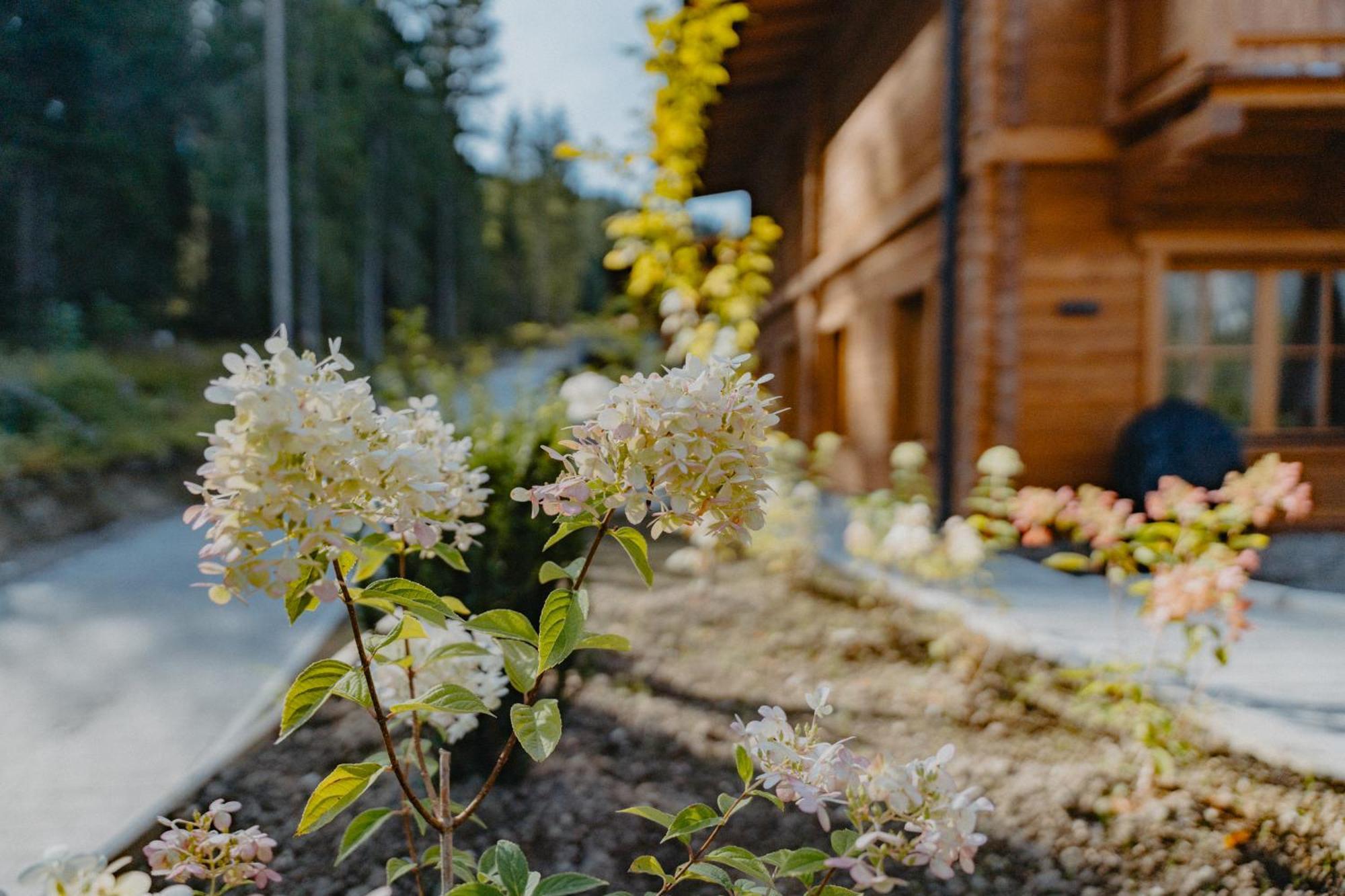 Sissi'S Green Chalets Лойташ Екстер'єр фото